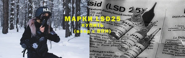 MESCALINE Аркадак