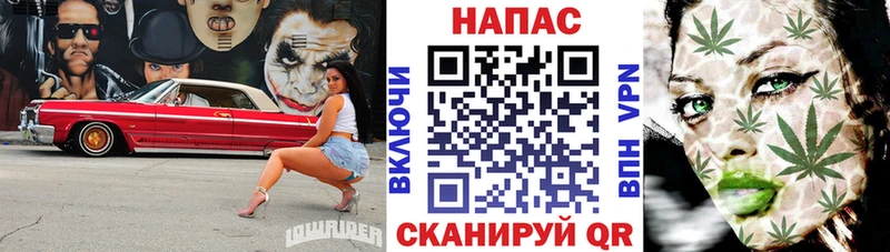 дарк нет официальный сайт Жуковский Шишки марихуана планчик МЕГА рабочий сайт